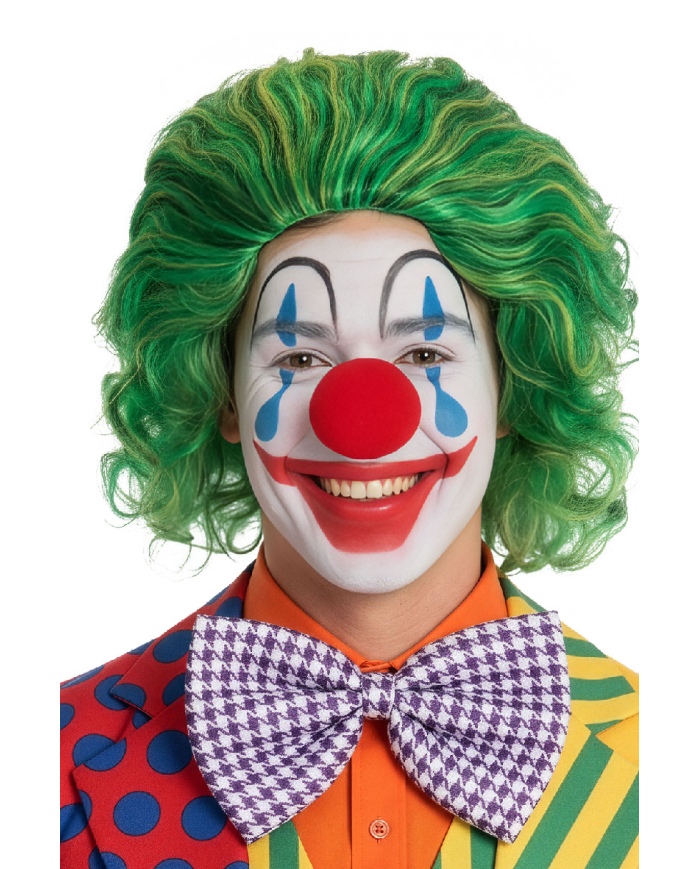 Perruque de clown verte, dans sachet et crochet